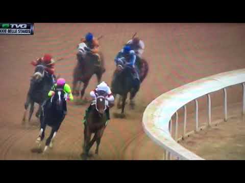 DIXIE BELLE (G STAKES) 1/20/18 - AMY'S CHALLENGE !!!