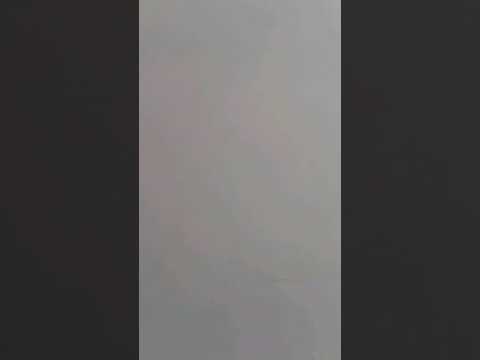 Damost wanted (masterehi)