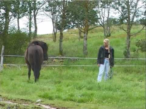 03-26 Horses with Problems - Gjafar 2-7