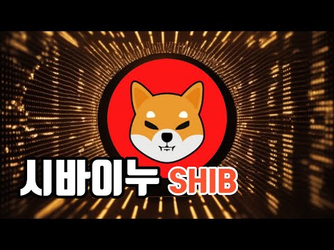 시바이누 코인 / 시바이누란? 시바이누 코인 전망 닥투