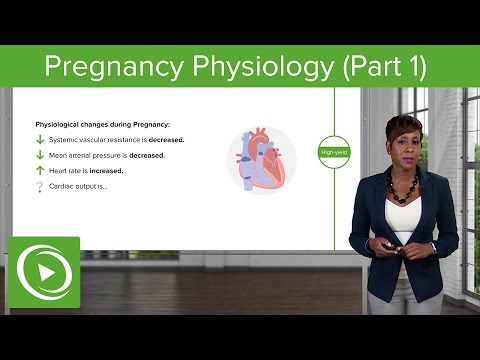 Pregnancy Physiology: Cardiovascular, Hematologic & Respiratory System– Obstetrics  | Lecturio