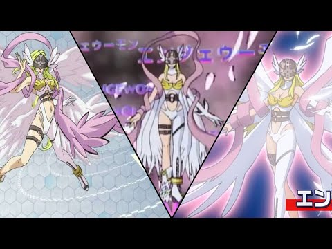 Angewomon All Evolution Sequences (1999-2020)