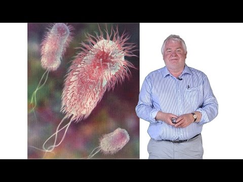 Tropfen für Prostatitis Prostataflüssigkeit