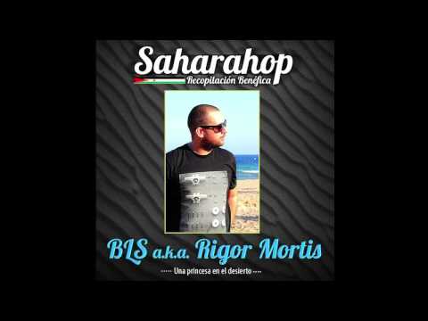 Una princesa en el desierto