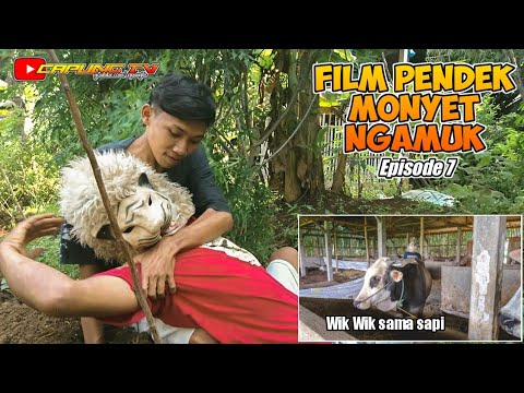 film-pendek-lucu-ngakak-exstream-versi-jawa-monyet-ngamuk-episode-7