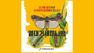 [ 현장영농기술 카드뉴스 ] 열대거세미나방_조기발견_신속방제