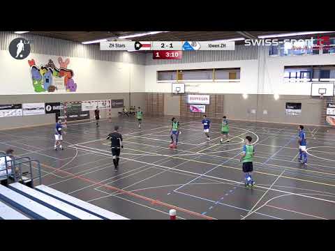 IMSC Day 2017 Gruppe A ZH Stars   Futsal Löwen