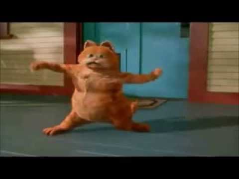 Happy Birthday Hailee