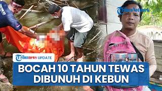 Kronologi Bocah 10 Tahun Tewas Mengenaskan Dibunuh di Kebun Aceh Tenggara seusai Dilaporkan Hilang
