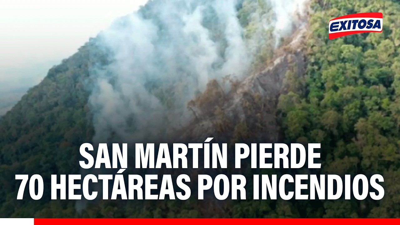 🔴🔵 Brigada Verde alerta aumento de incendios forestales
