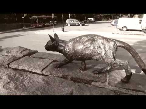 Jas the Cat - KROT$ - (prod. Dunkel)