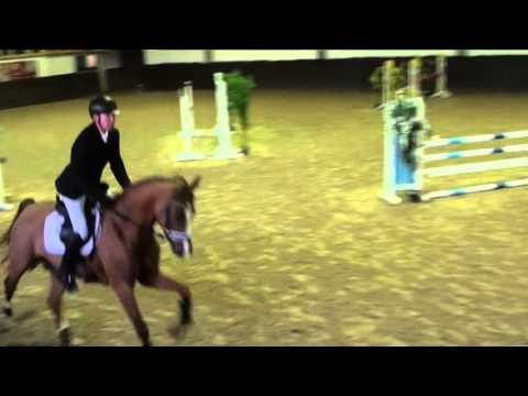 Belmera von Worrenberg - geb. 2010  - erster Turnierstart Springen Spr Pf A** mit 8.0 - 2. Platz