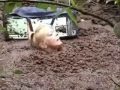 Quicksand 1