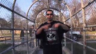 Darihus DHA Somos callejeros