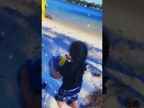 #sumaya542#beach #sumaya #happy #water #beachwalk #morning #birthday #florida #morningvibes ش#سمية