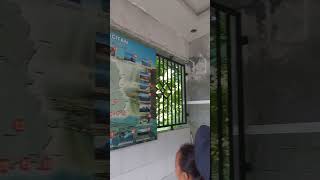 Download lagu Peta Wisata Pacitan‼️#jalan#sholawattanpabatas #dangdut #cover #storywa #shorts mp3 Download lagu Peta Wisata Pacitan‼️#jalan#sholawattanpabatas #dangdut #cover #storywa #shorts mp3