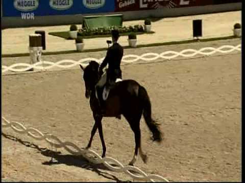 Chio Aachen CDI tour 2010 Grand Prix kür, kristophe koschel
