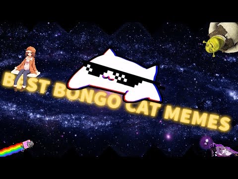 Best Bongo Cat memes compilation #BongoCat