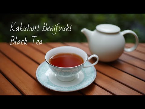 茶色がかった赤色のトゲトゲの実「コッパーカーペット」 植物