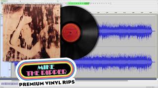The Psychedelic Furs • Shine • vinyl rip • Book of Days • US LP