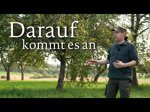 Pflege-Basics für die Streuobswiese: So hältst du Bäume und Wiese gesund.
