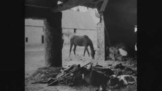 Death in June - Kameradschaft