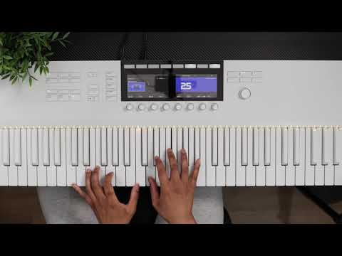 Komplete Kontrol S61 MK2 Vapor Gray - Limited Edition