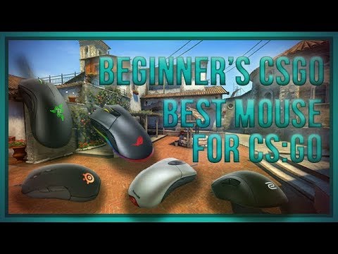 zorlaKOKA Beginner's CSGO - Best Mouse For CSGO