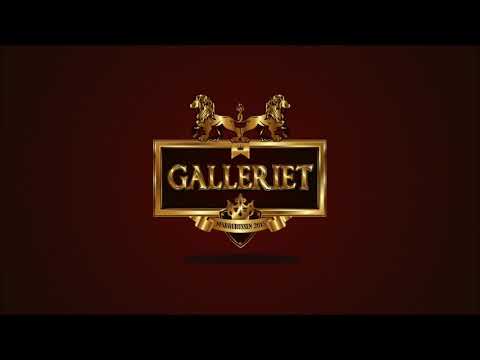 ZL-Project - Galleriet 2015