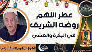 الشيخ – إبراهيم الإسكندراني – (عطر اللهم روضه الشريف في البكرة والعشي)