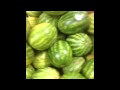Best Watermelon Vines Compilation
