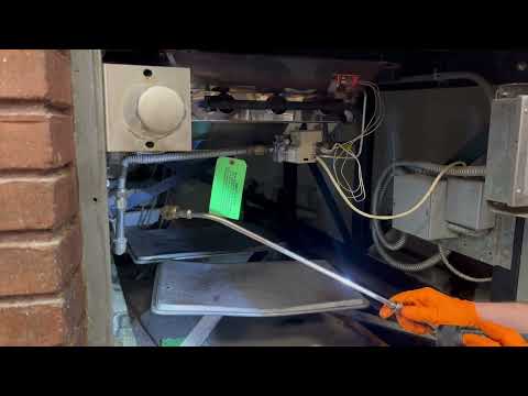 Cockroaches Coming from the Wood Burning Stove in Wall Township, NJ