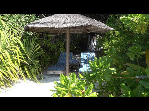 Reethi Beach Resort, Maldives Dec 2024