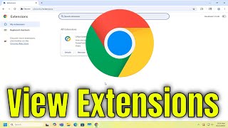 How to View Extensions in Google Chrome [Guide]