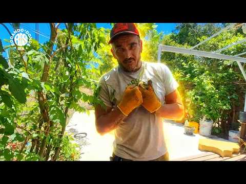 📌SEGUIMOS TRABAJANDO EN LAS SIERRAS-LA FALDA CÓRDOBA🐕‍🦺Rodando donde Sea🚐🚐