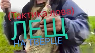 Где в твери ловят леща
