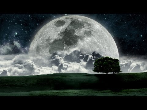 Kalpataru Tree - Moonbloom (Remastered) [Visualization]