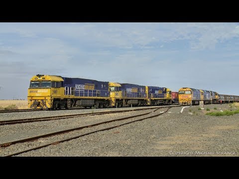 1MP2 Pacific National Steel Train With No Steel Wagons! - PoathTV Australian Railways