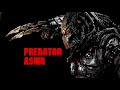 Predator ASMR 10 Min Click Sound Effect Yautja
