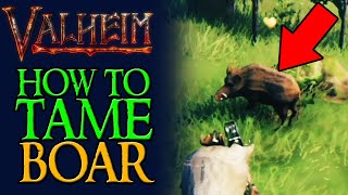 How to Tame WILD BOARS in Valheim