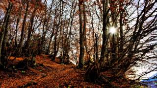 Willy De Ville When The Night Falls