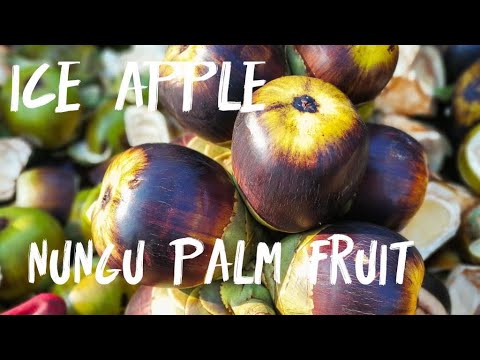 Nungu! Palm fruit