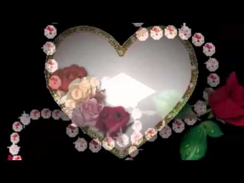 TRI SAM TI DANA & ▇█▓▒░ ZOKI OKI OS ░▒▓█▇