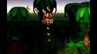 Donkey Kong Country (SNES) 101% 2/14