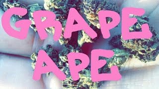 GRAPE APE REVIEW!!