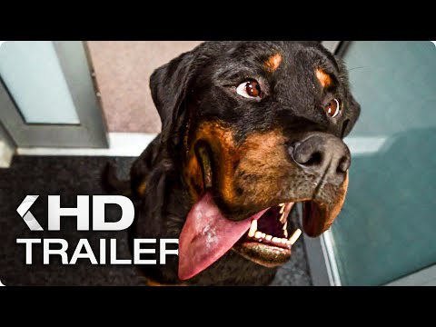 Trailer-Vorschau: Show Dogs - Agenten auf vier Pfoten