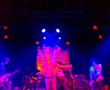 Gatorlane - The Spades