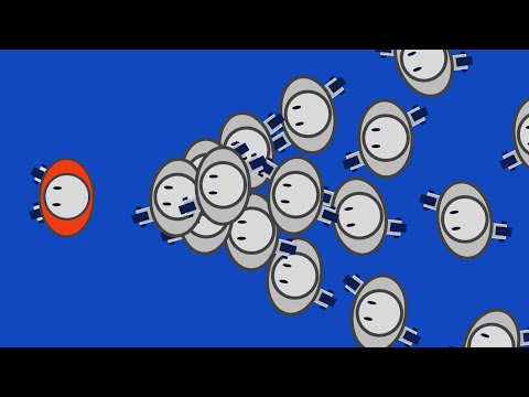 Particle Filters | Robot Localization