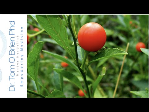 Ashwagandha health benefits Video