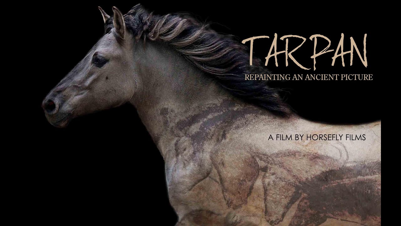 Tarpan: Repainting An Ancient Picture